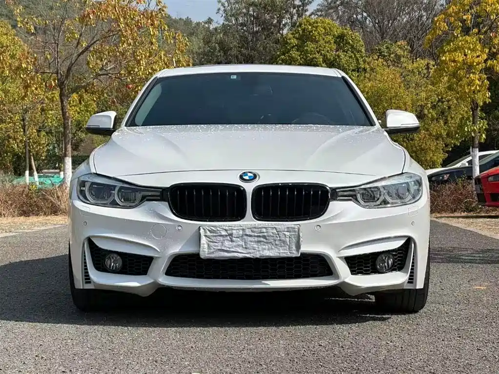 BMW 3 Series 2017 320Li Luxury Design Package фото 2