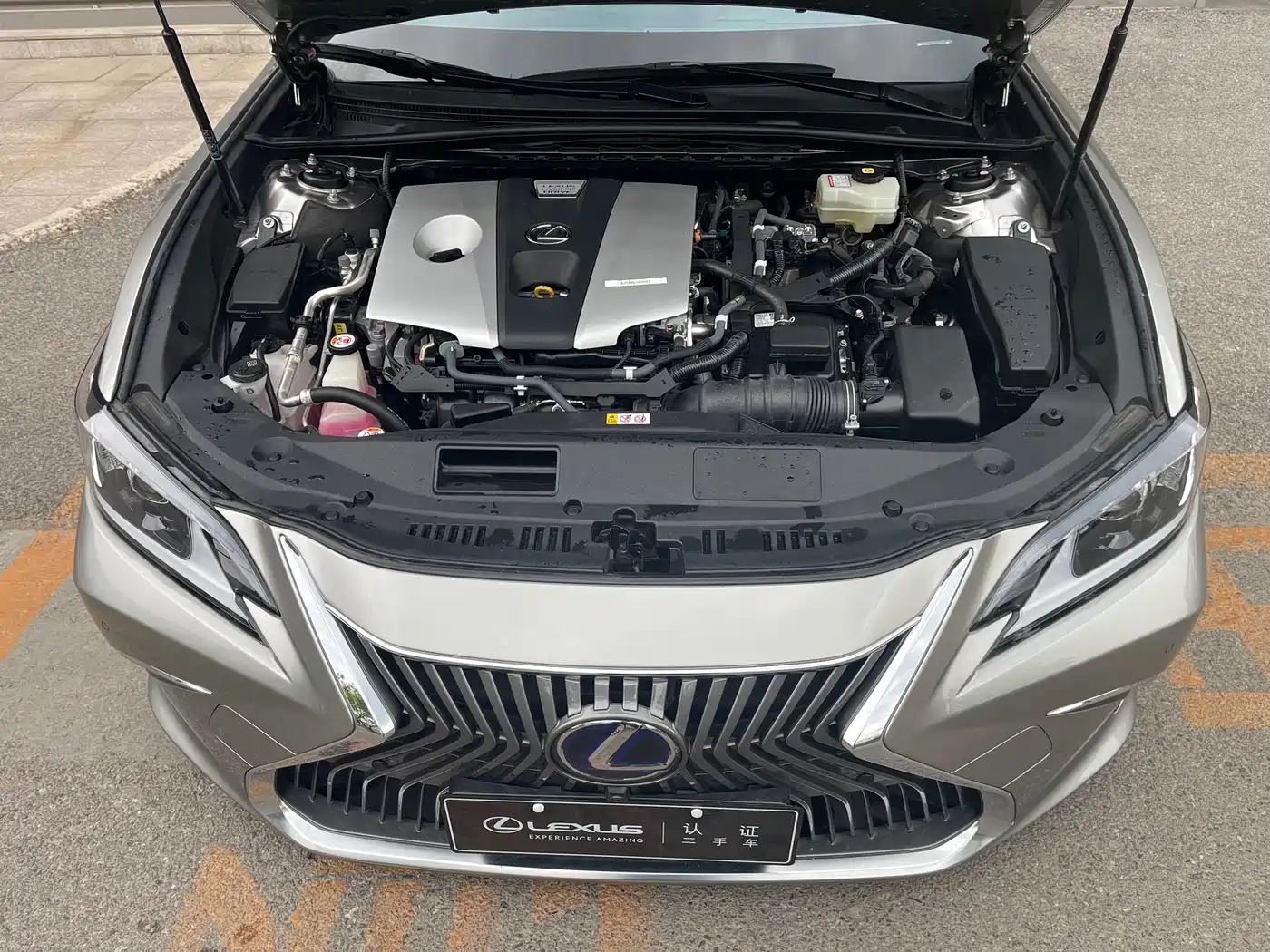 Lexus ES 2020 Model 300h Excellence Edition фото 20