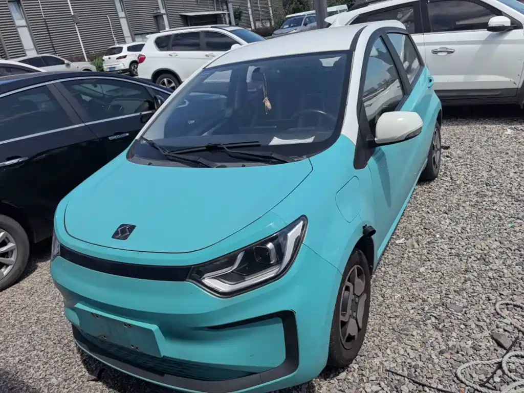 Sehol Flower Fairy 2021 2021 302km Luxury 30.2kWh