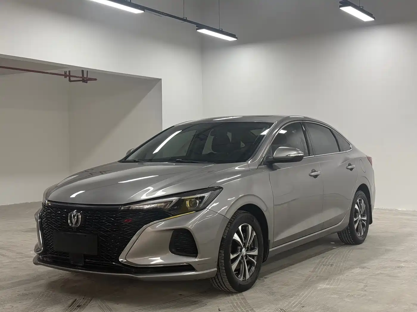 Фото 1 - Changan Eado