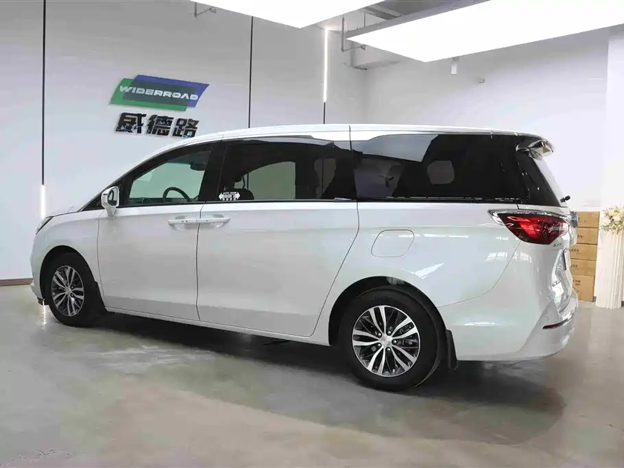 Buick GL8 2022 ES Landmark 653T Comfort фото 7