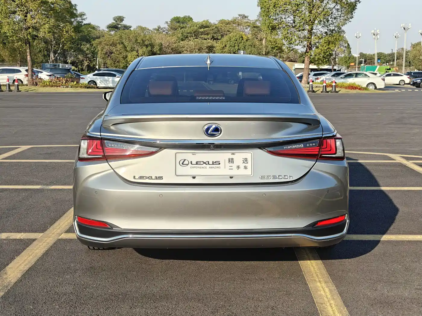 Lexus ES 2020 Model 300h Excellence Edition фото 5