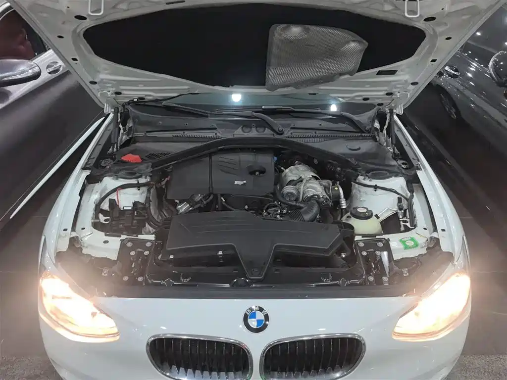 BMW 1 Series (Import) 2013 Facelift 116i Leading Model фото 20