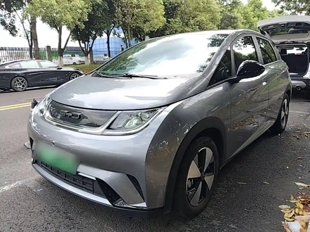 Фото 2 - BYD Dolphin