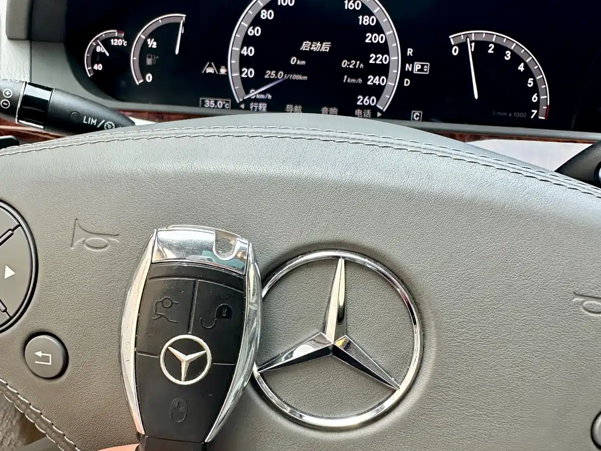 Mercedes-Benz S-Class 2010 S 350 L Luxury фото 28