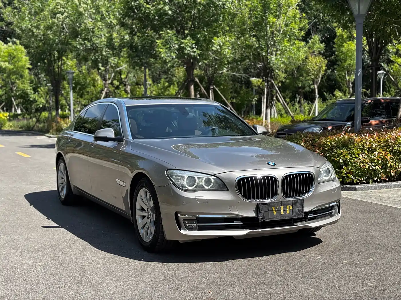 BMW 7 Series 2014 730Li Premium фото 3
