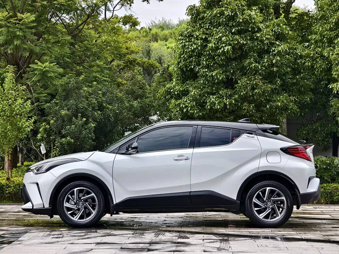 Toyota C-HR 2022 2021 2.0L Luxury Edition