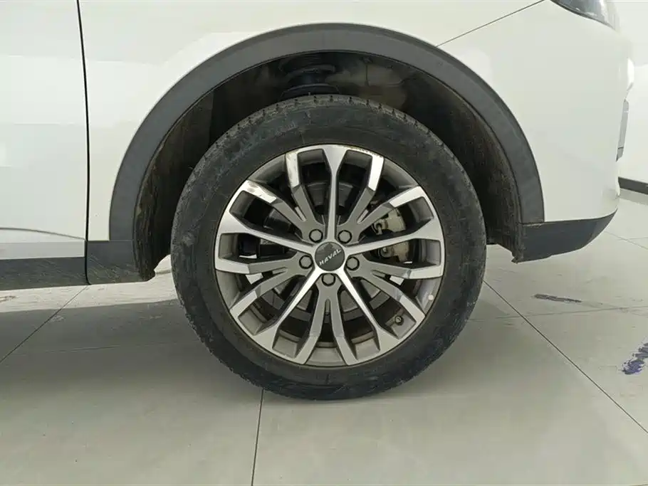Haval H6 2020 1.5GDIT Automatic Platinum Champion Edition фото 6