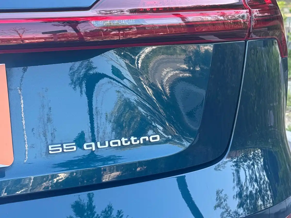 Audi e-tron (Import) 2021 2019 55 quattro Fashion