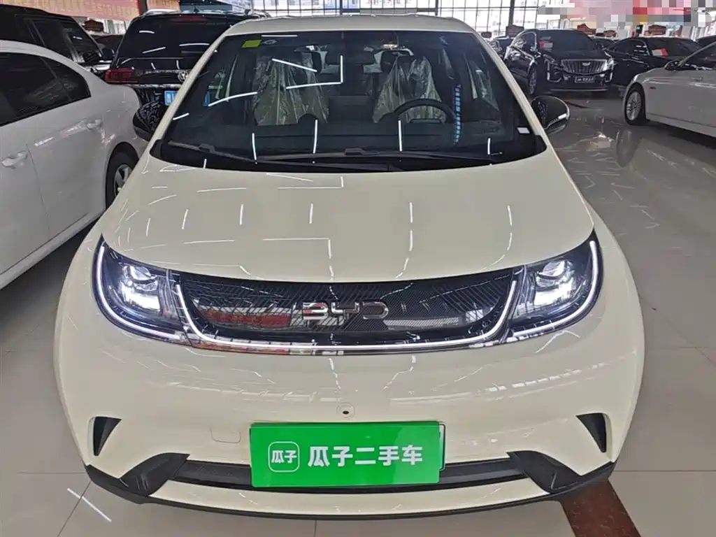 BYD Dolphin 2025 420km Freedom Edition фото 3