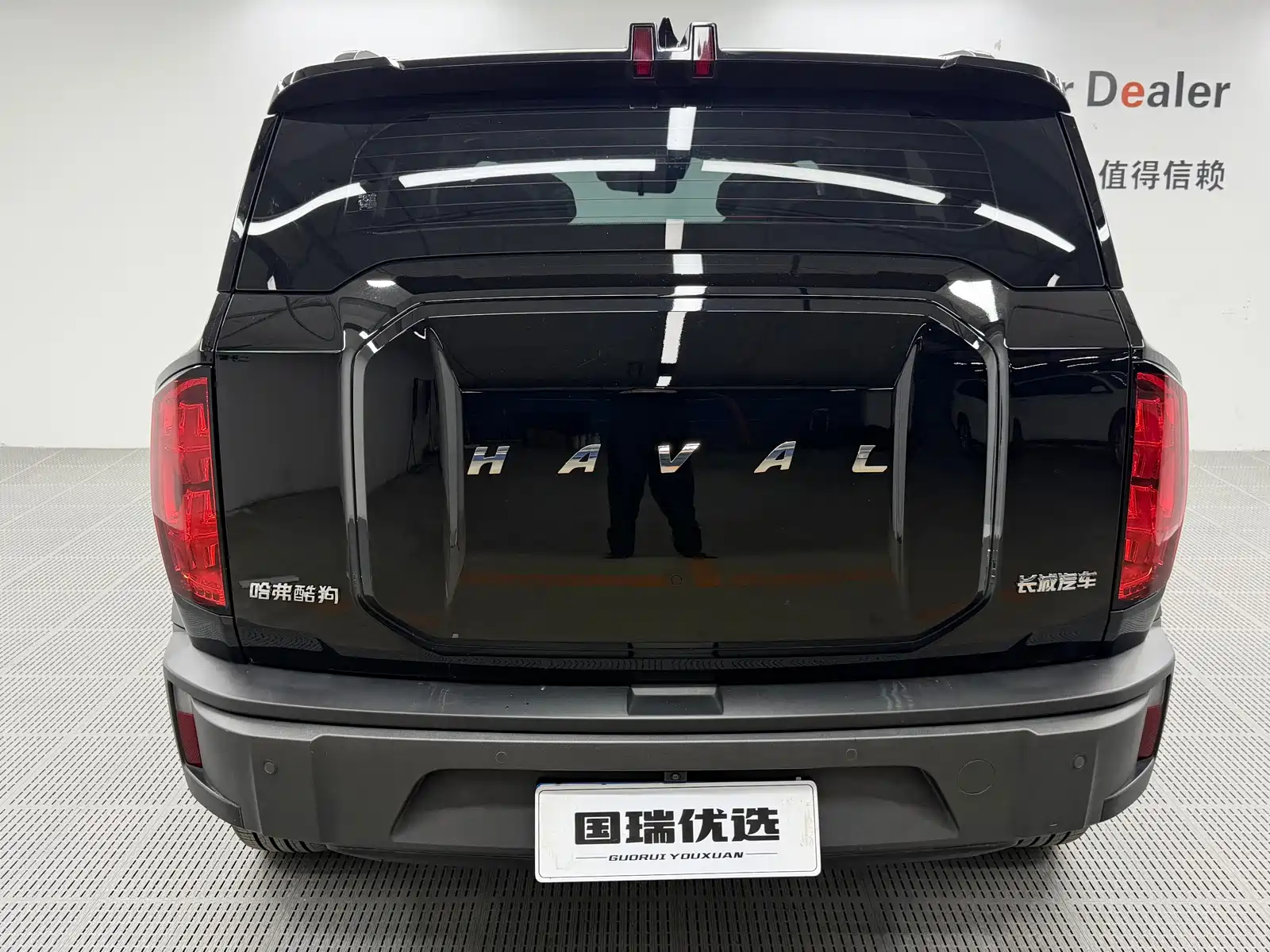 Photo 4 - Haval Cool Dog