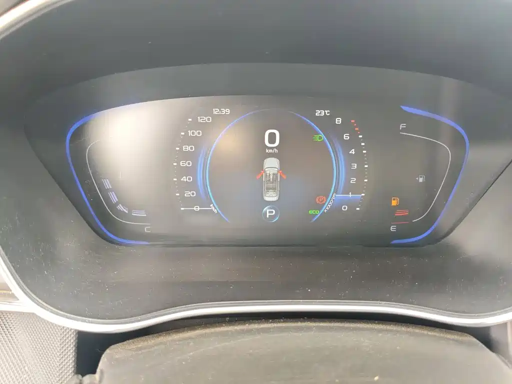 Фото 4 - Geely Binrui