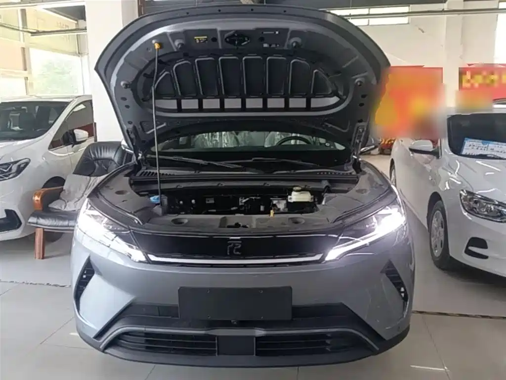 BYD Yuan UP 2025 Model 301KM Navigator фото 20
