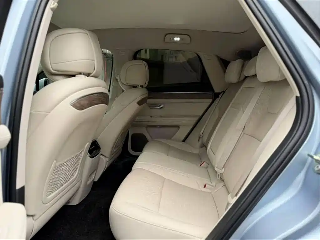 AITO Wenjie AITO M5 2022 Extended Range AWD Flagship фото 16