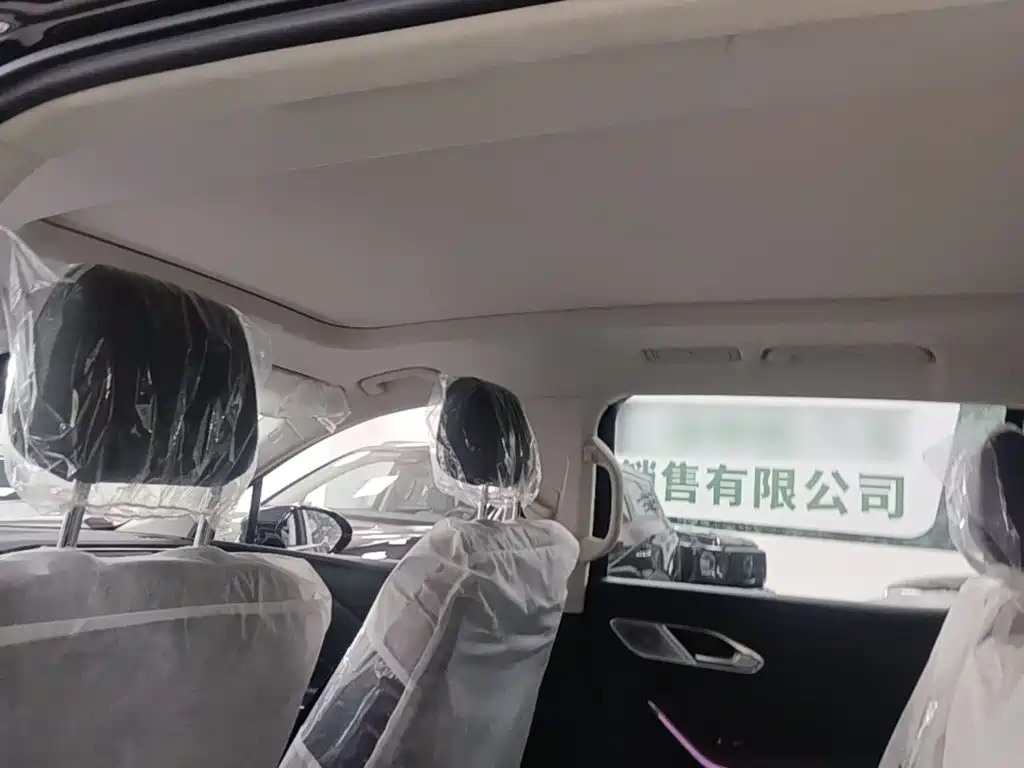 Photo 18 - Hongqi HS7 PHEV