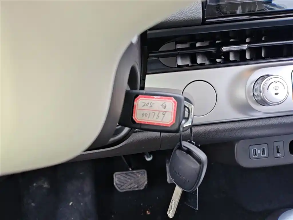 Changan Qiyuan Changan Lumin 2026 2026 Model Treasure Edition 205km Sweet Rice Guoxuan