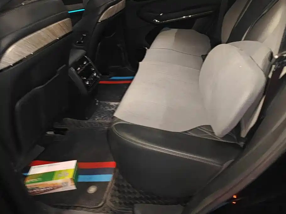 Tank 500 2022 3.0T Black Warrior Limited Edition 5-seater фото 11