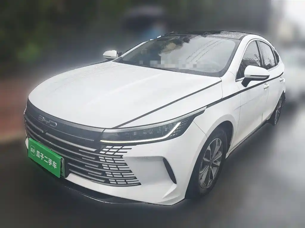 BYD Destroyer 05 2024 Glory Edition DM-i 55KM Luxury