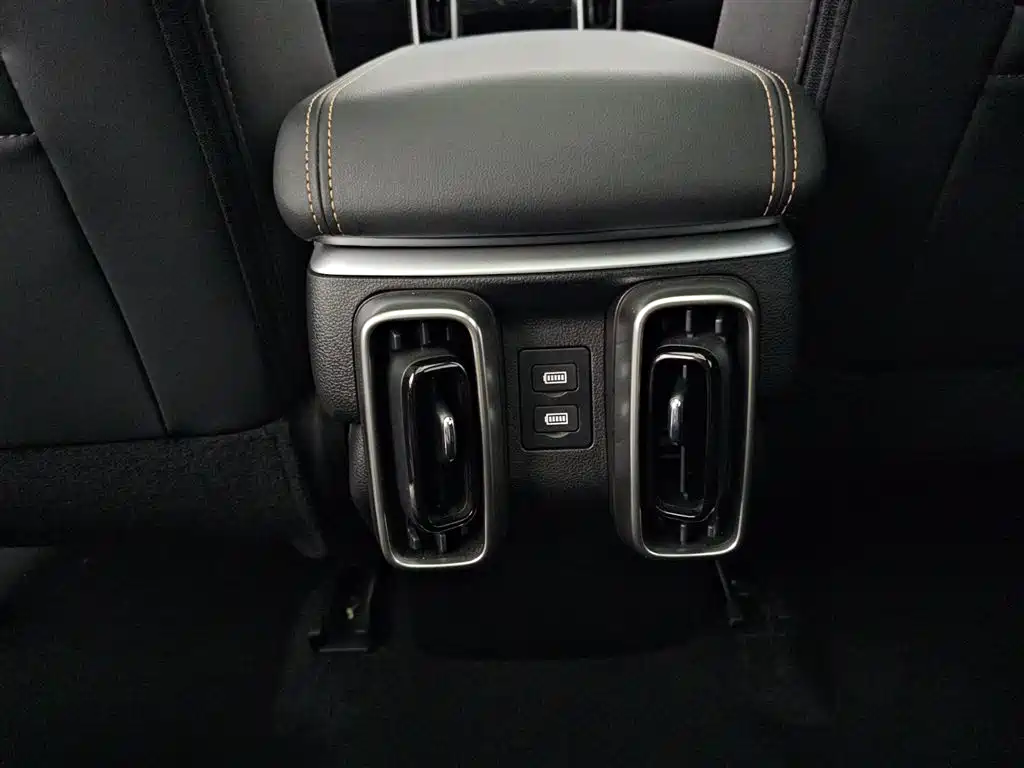 Haval Big Dog 2024 1.5T DCT Border Collie Edition фото 15