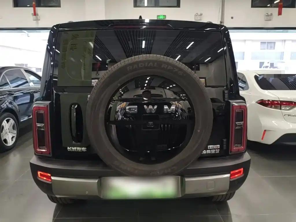 Haval Raptor 2025 2025 Model Base Version