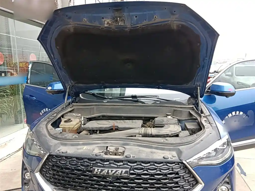 Haval F7x 2019 1.5T 2WD Extreme Smart Tech Edition фото 20