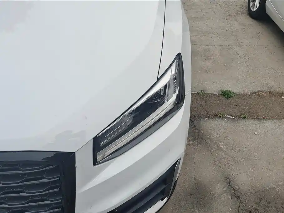 Audi Q2L 2018 35 TFSI Launch Exclusive Edition China V фото 5