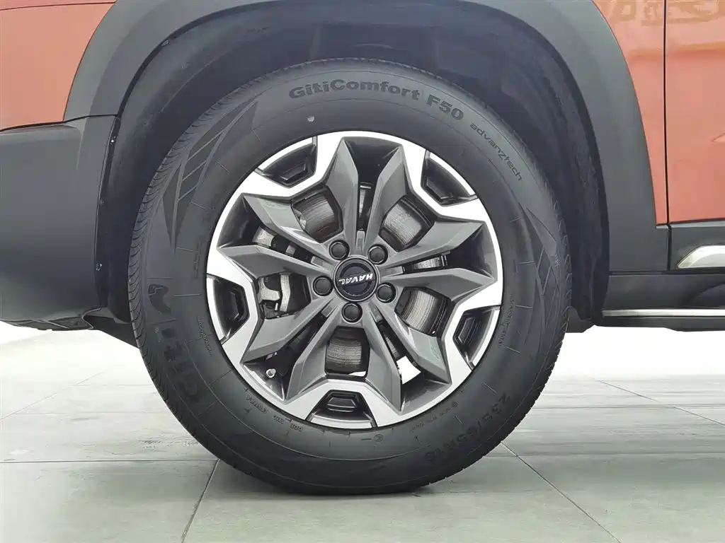 Haval Big Dog 2021 2.0T DCT 4WD Chinese Rural Dog Edition фото 17