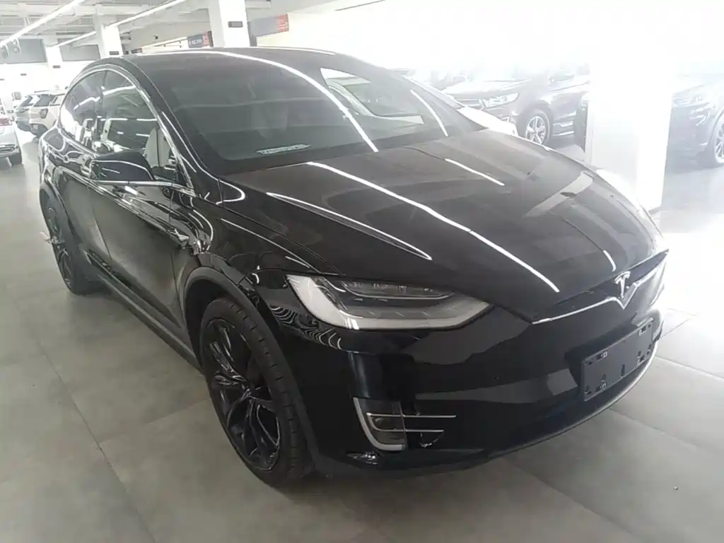 Фото 22 - Tesla Model X