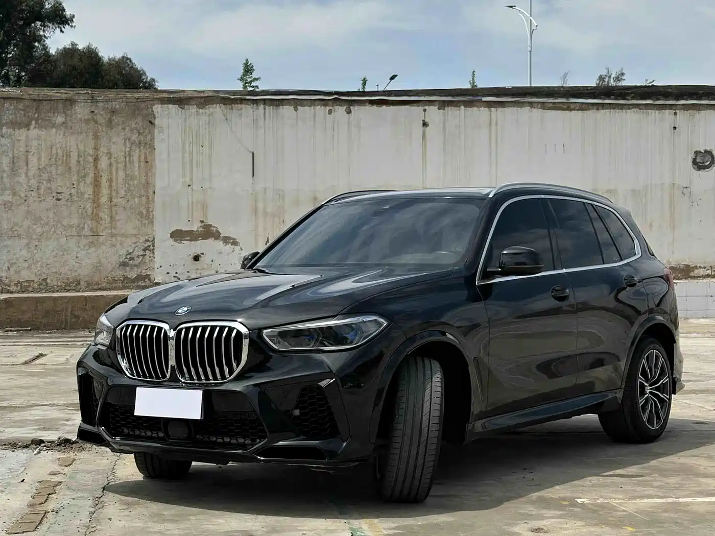 BMW X5 (Import) 2019 xDrive40i M Sport Package