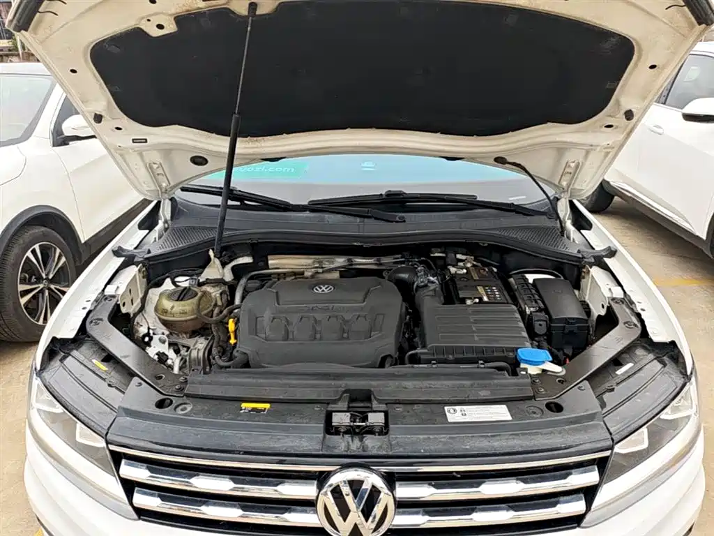 Volkswagen Tiguan L 2019 330TSI Automatic 2WD Panorama Comfort Edition China VI фото 20