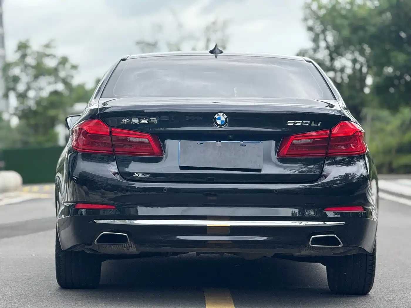 BMW 5 Series 2018 530Li xDrive Luxury Package фото 8