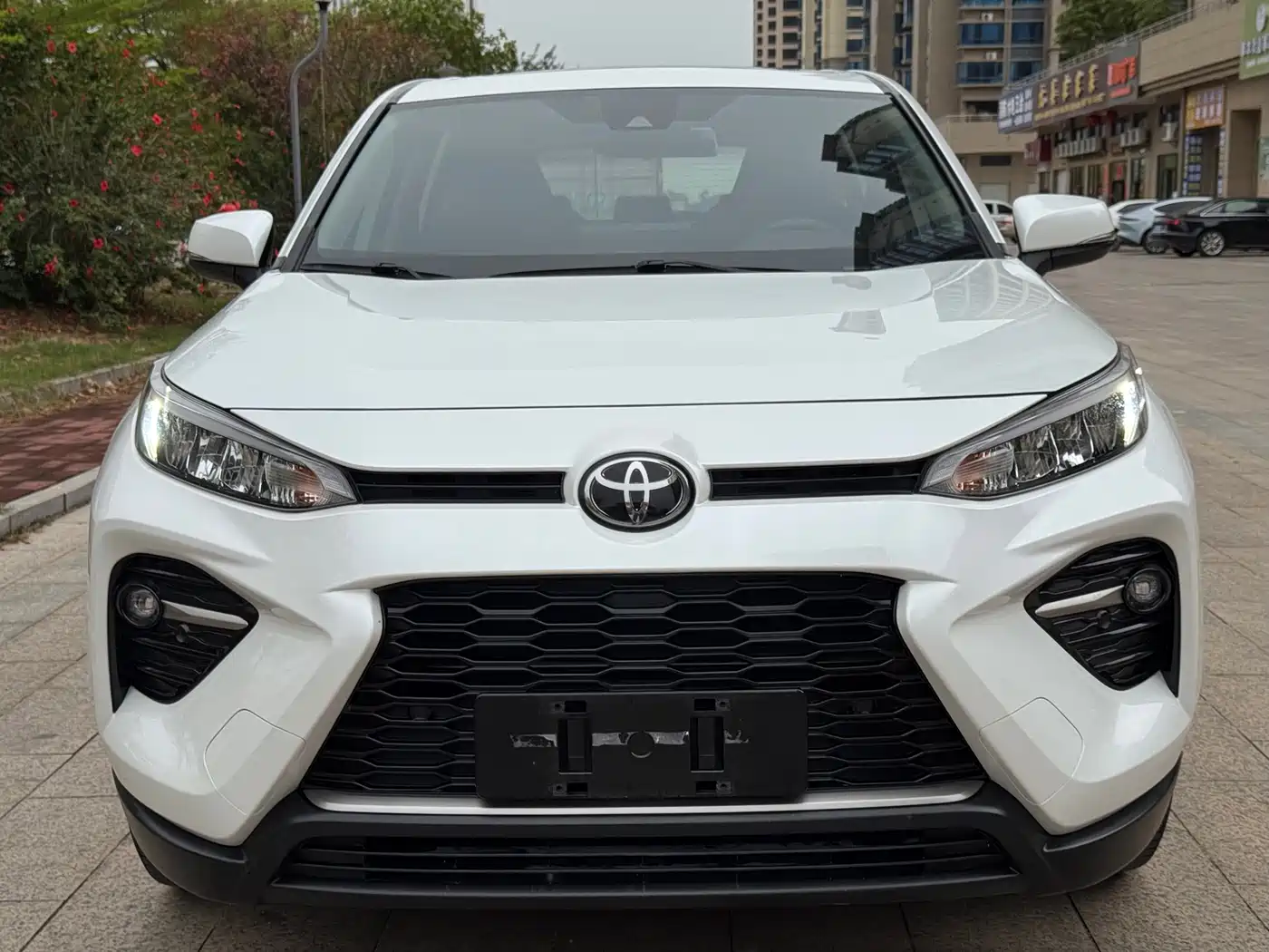 Toyota Wildlander 2020 2.0L CVT 2WD Luxury Edition