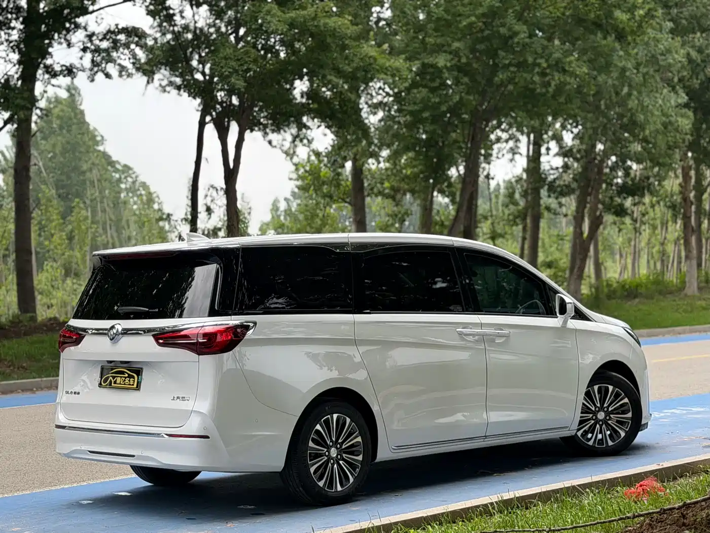 Buick GL8 2023 ES Landmaster Luxury фото 5