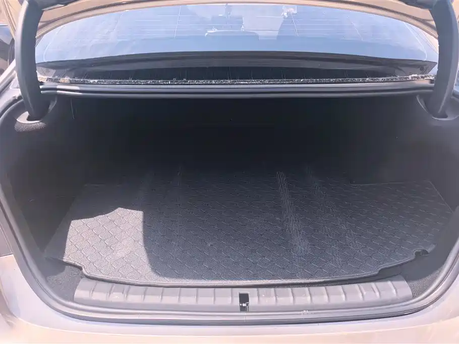 BMW 5 Series New Energy 2020 530Le Luxury Package фото 4