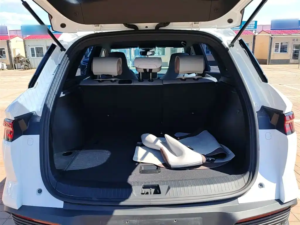 BYD Song Pro New Energy 2024 Glory Edition DM-i 71KM Pilot фото 19