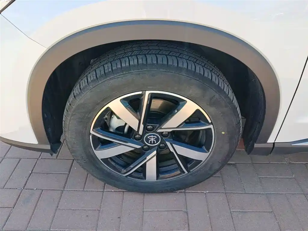 BYD Song Pro New Energy 2024 Glory Edition DM-i 71KM Pilot фото 23