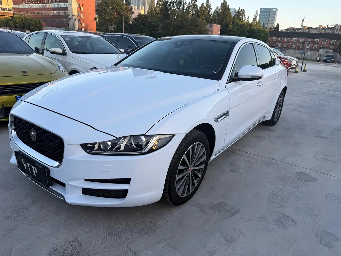 Фото 1 - Jaguar XEL
