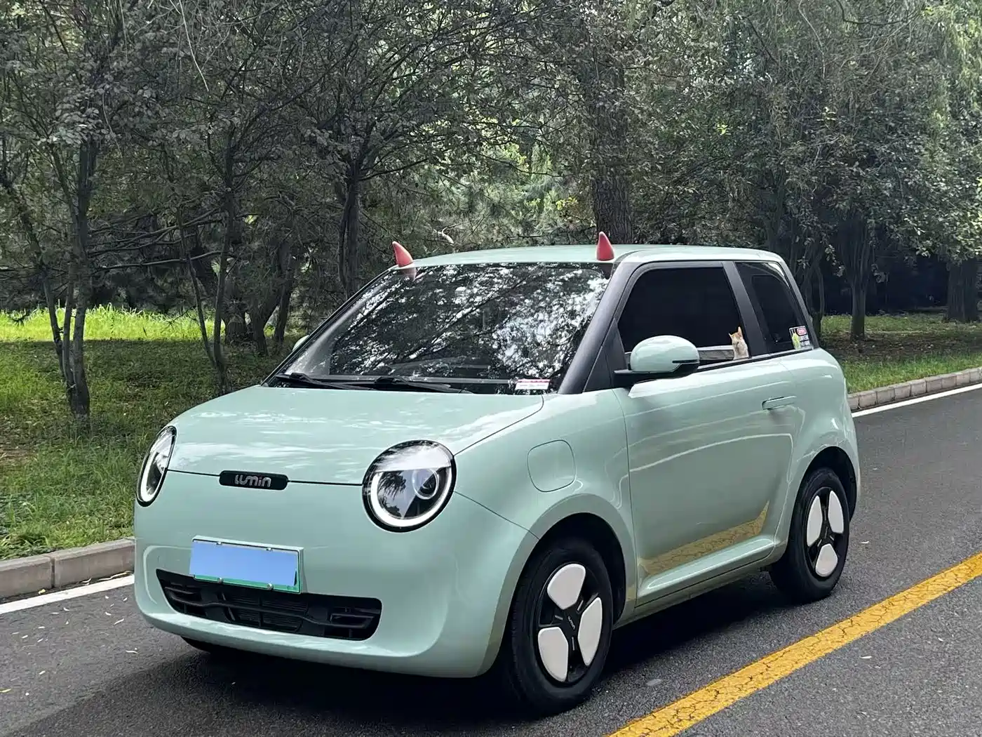 Changan Qiyuan Changan Lumin 2022 210km Sweet Edition
