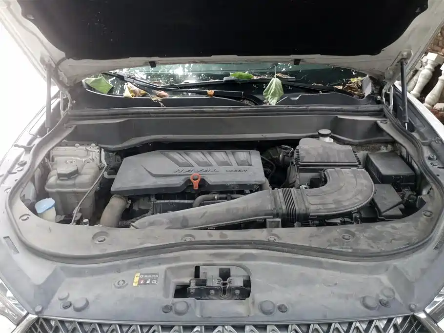 Haval F7 2021 1.5T 2WD i-Type фото 10