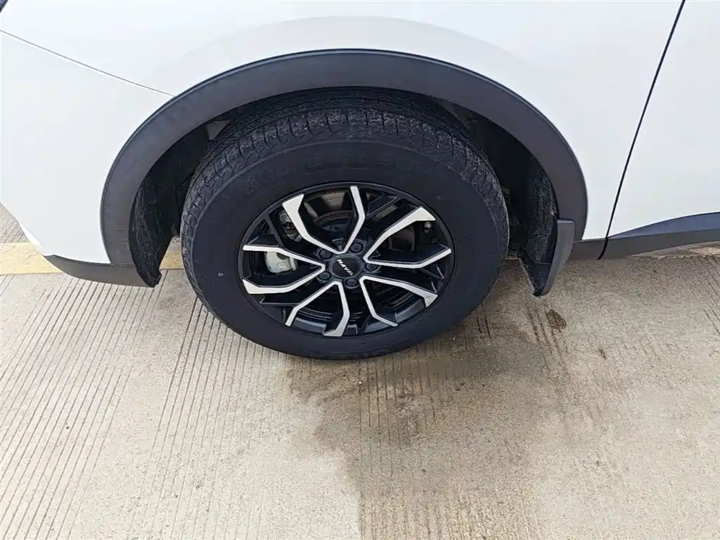 Haval H6 2021 National Trend Edition 1.5T Automatic Urban Edition фото 23