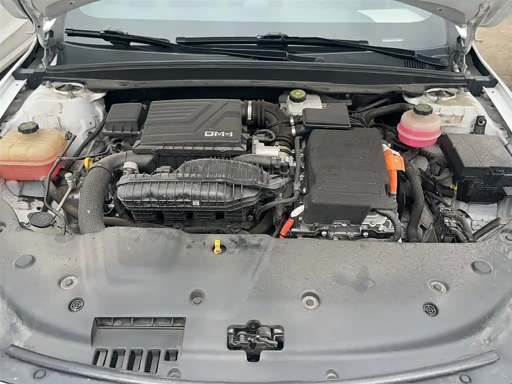 BYD Qin PLUS 2021 DM-i 55KM Flagship фото 24