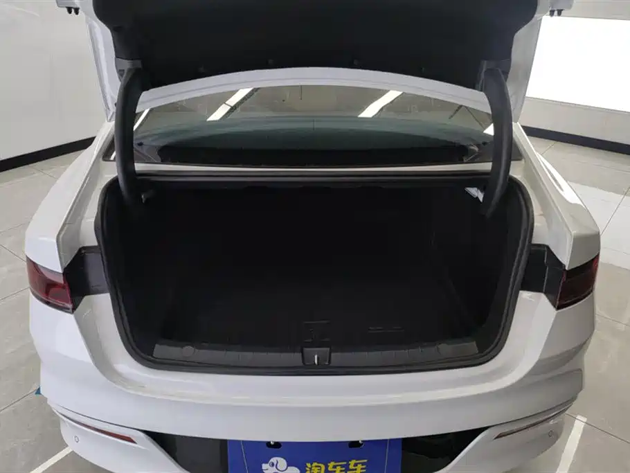 BYD Qin PLUS 2024 Glory Edition DM-i 55KM Leading фото 4