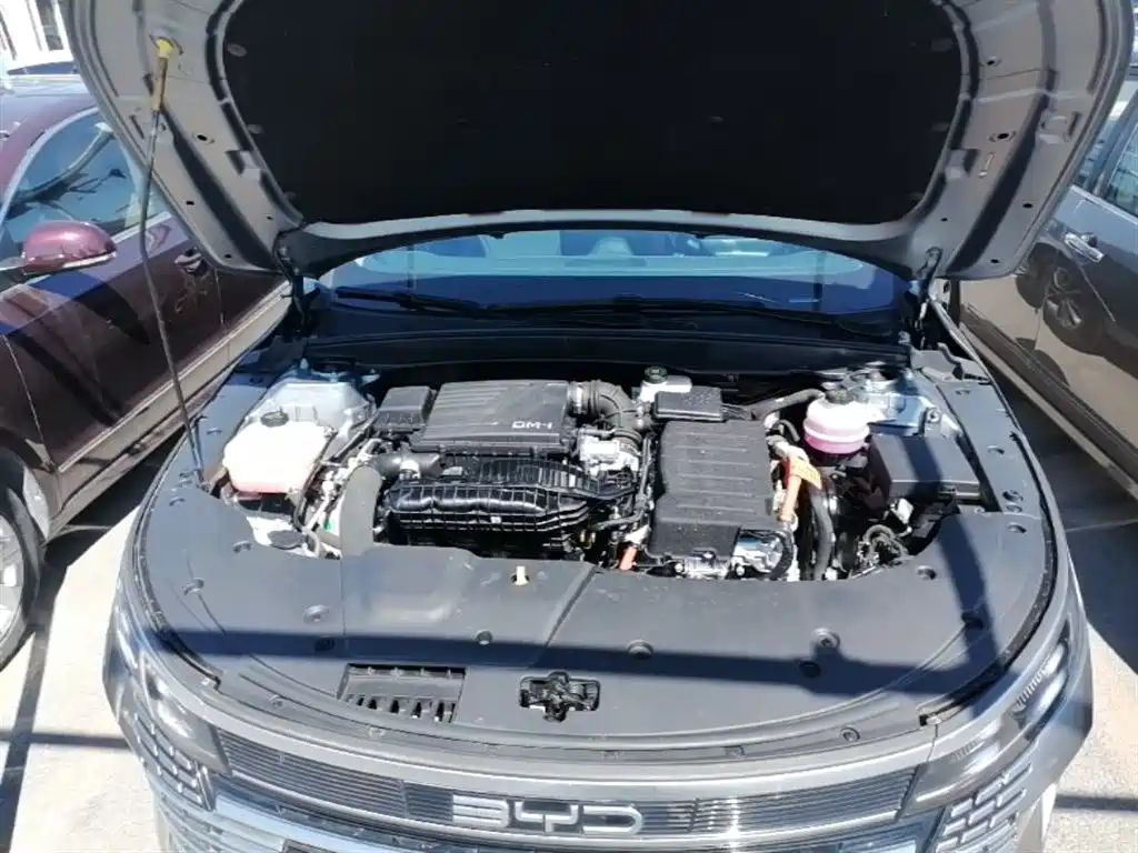 BYD Destroyer 05 2024 Glory Edition DM-i 55KM Luxury фото 20