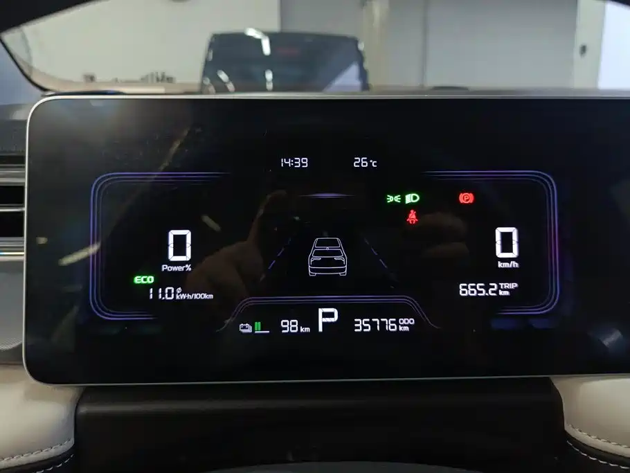 Geely Geometry E Firefly 2024 2024 Model 301km Starlight