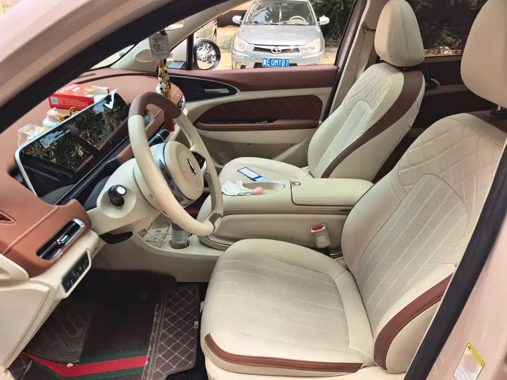 Ora Good Cat 2024 2023 401km Standard Range Premium LFP