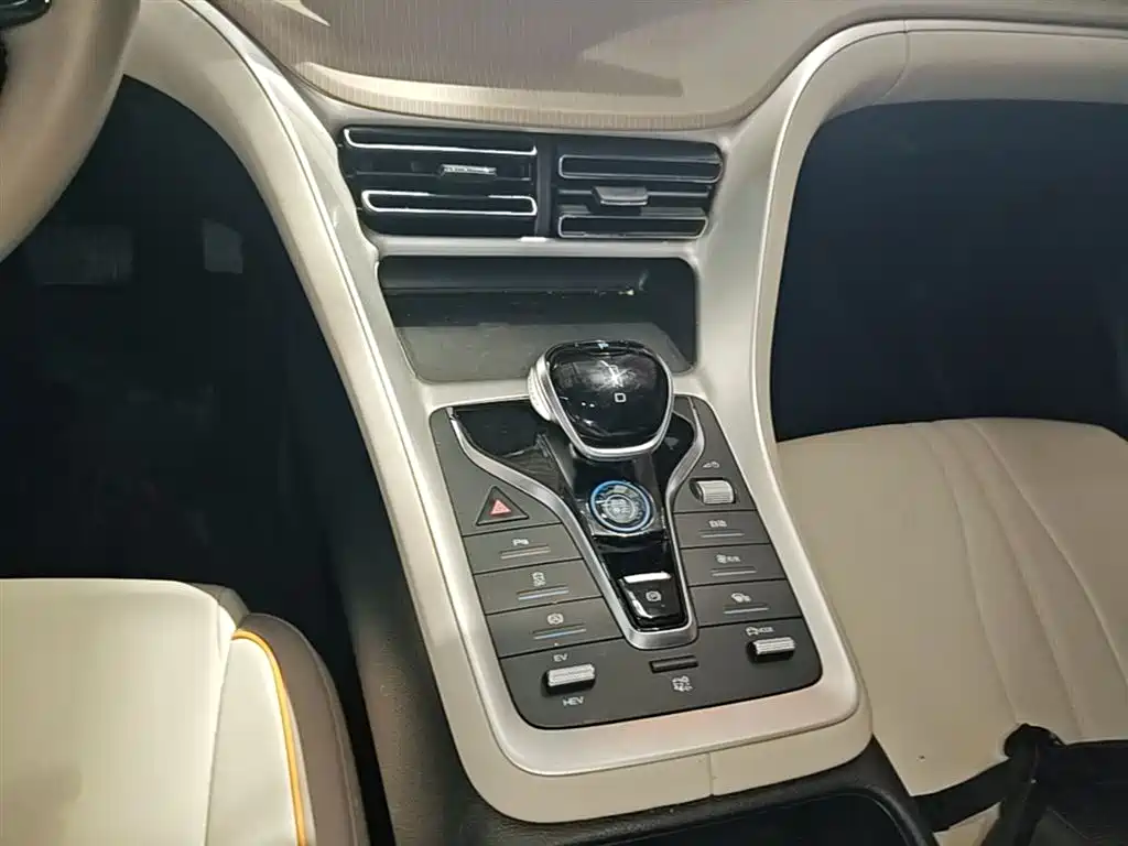 BYD Song Pro New Energy 2024 Glory Edition DM-i 71KM Pilot фото 14