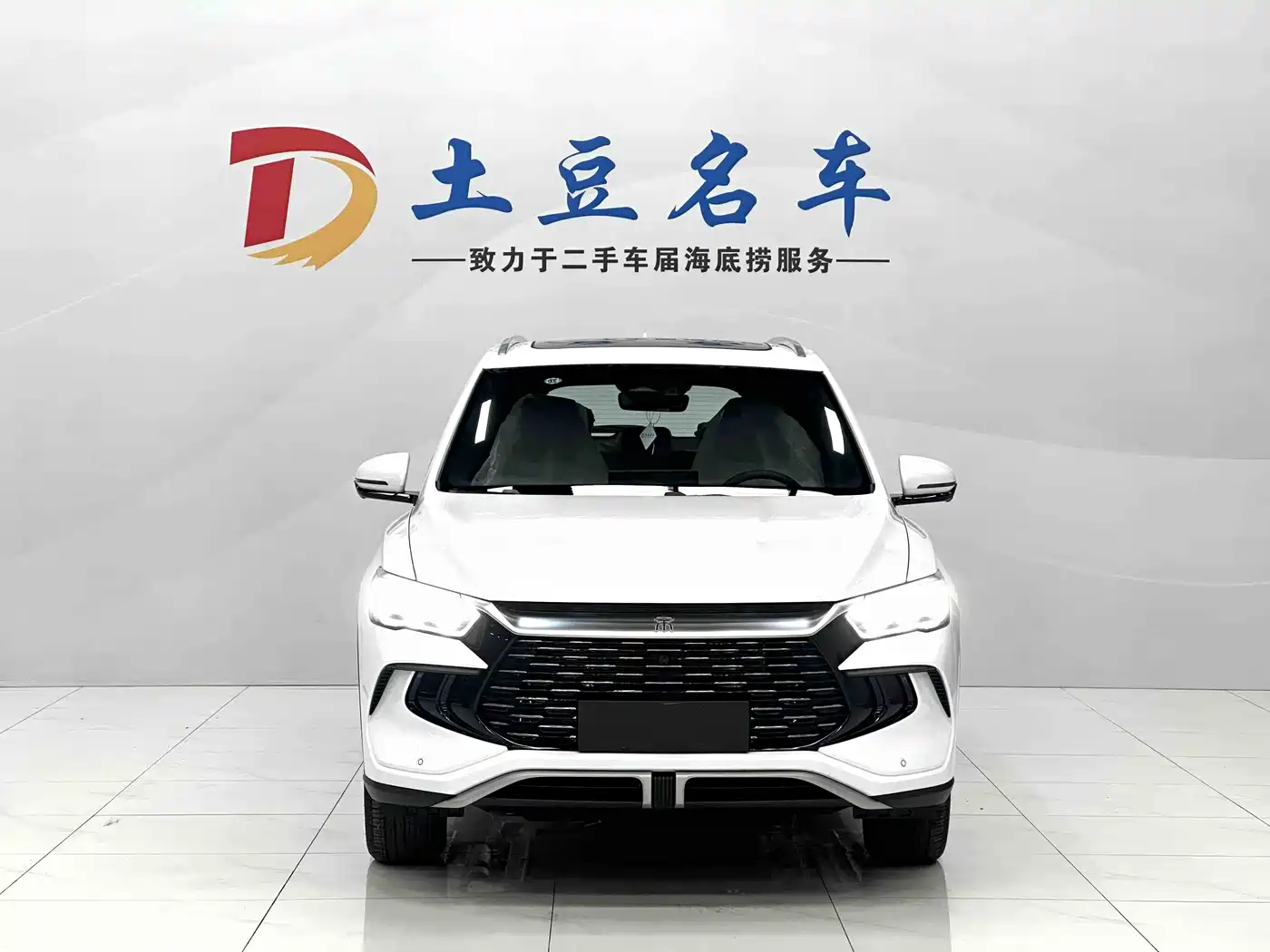 BYD Song Pro New Energy 2024 Glory Edition DM-i 110KM Surpassing фото 2