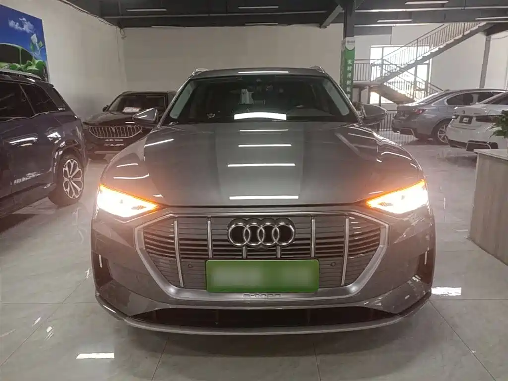 Audi e-tron (Import) 2019 55 quattro Technology фото 3