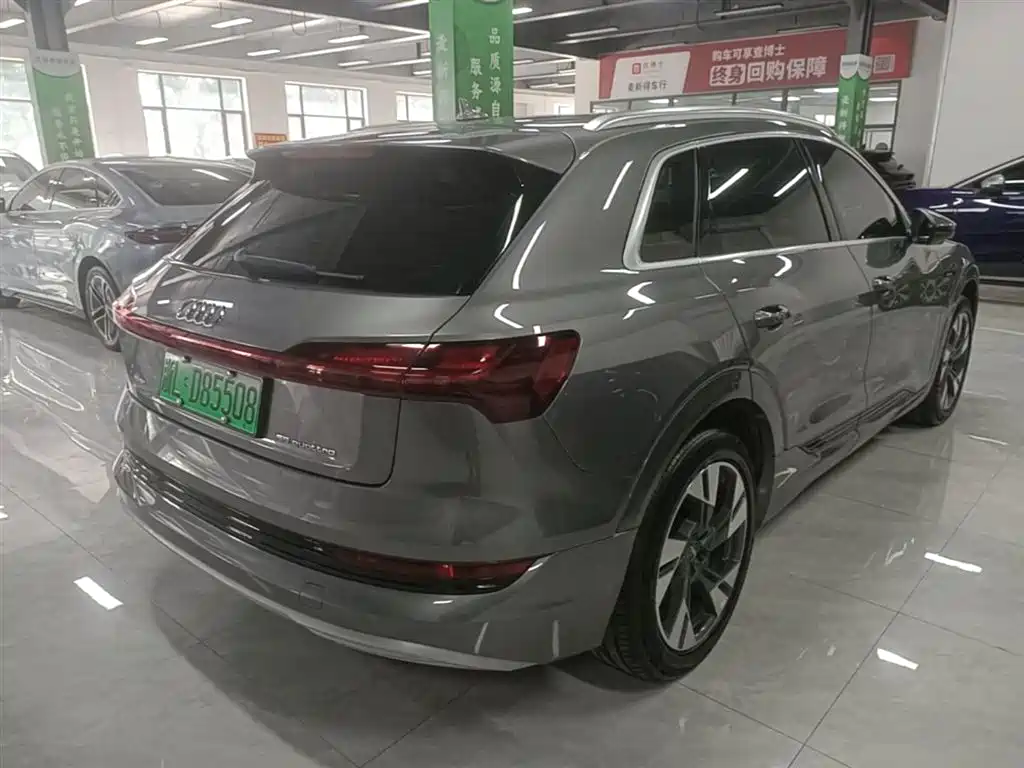 Audi e-tron (Import) 2019 55 quattro Technology фото 7
