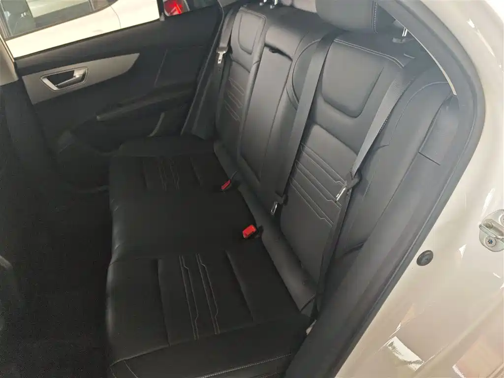 BYD Qin 2019 1.5L Automatic Prestige фото 17